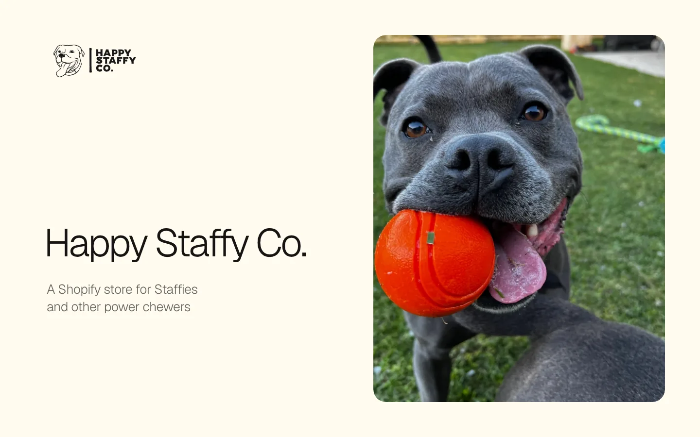 Watch the Happy Staffy Co film