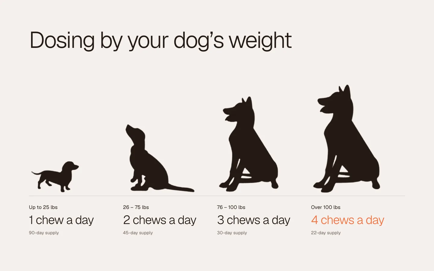 Watch the R Good Dog film