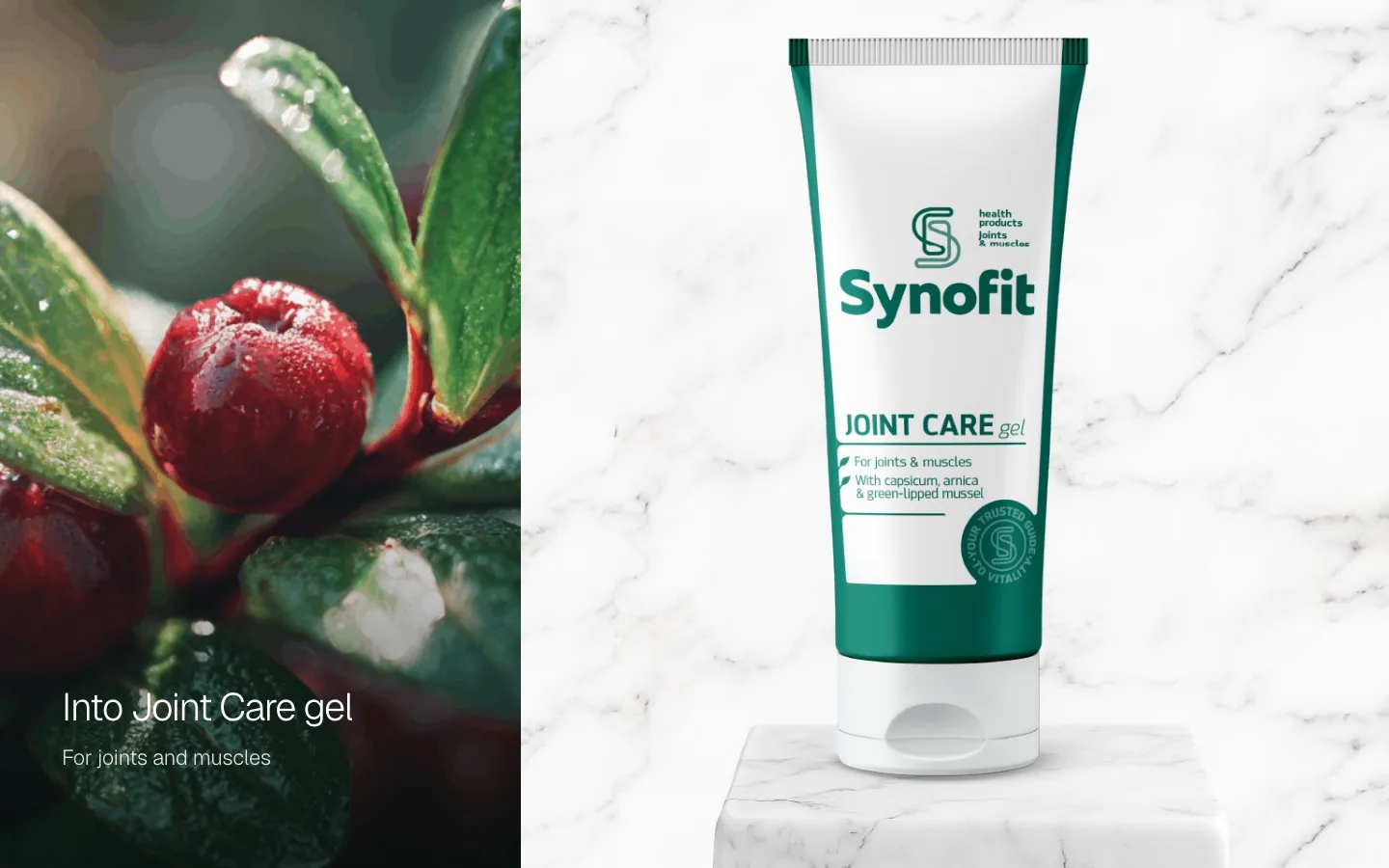 Watch the Synofit film